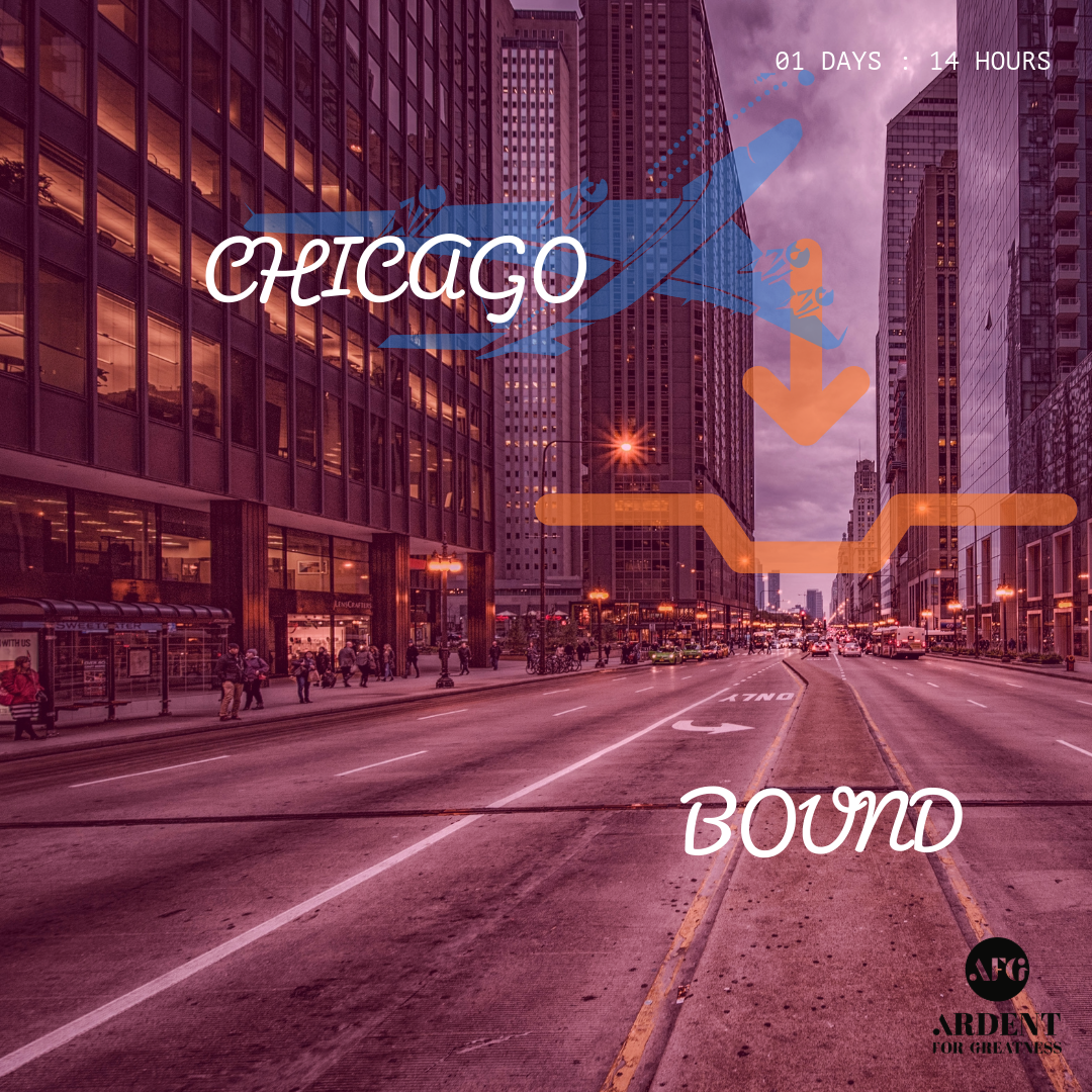 CHICAGO DOWNTOWN T SHIRT
