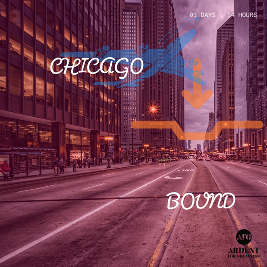 CHICAGO DOWNTOWN T SHIRT